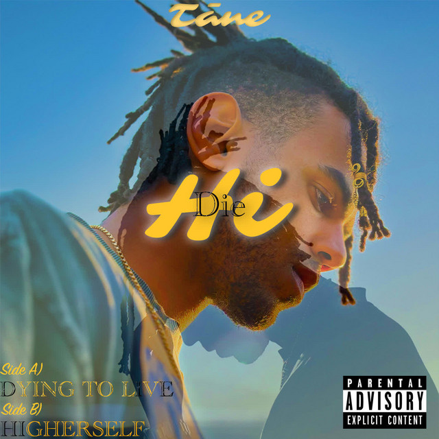 Die Hi cover art