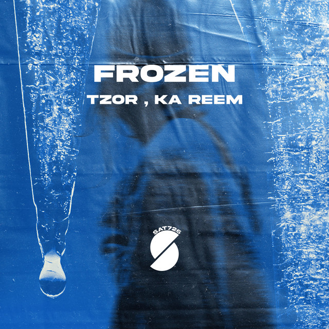 Frozen cover art