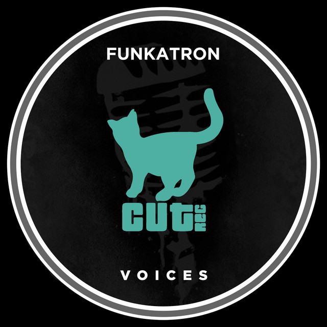 Voices album art