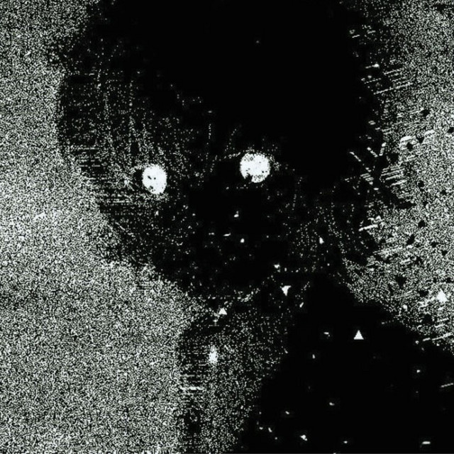 STASH cover art