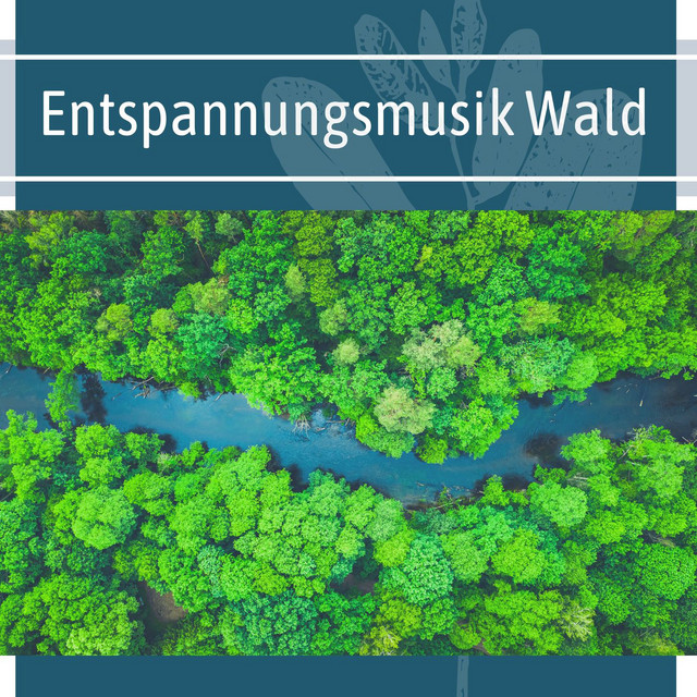 Entspannungsmusik Wald: Naturgeräusche zum Arbeiten cover art