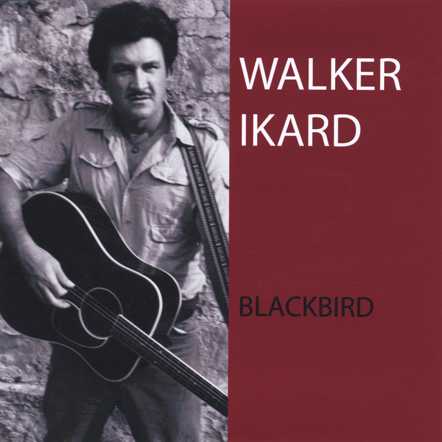 Blackbird