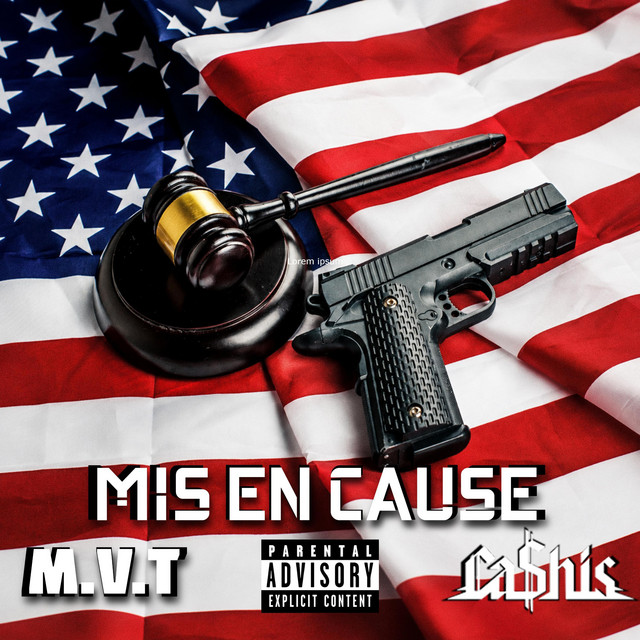 Mis en cause album image