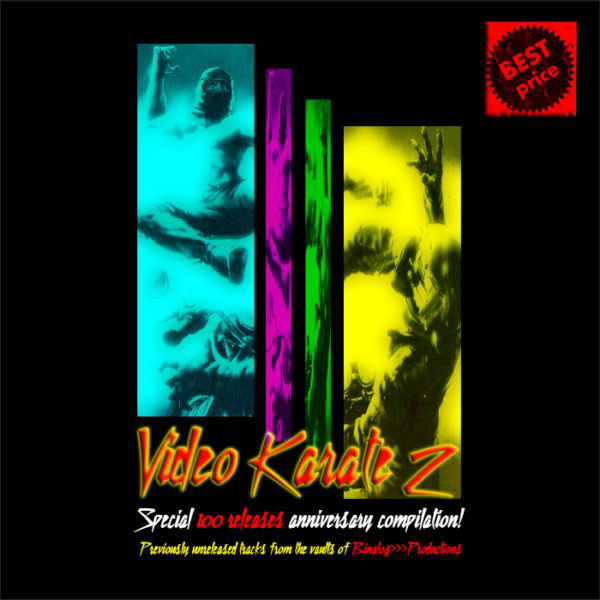 Video Karate 2 cover