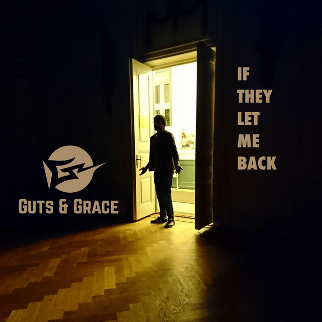 If They Let Me Back