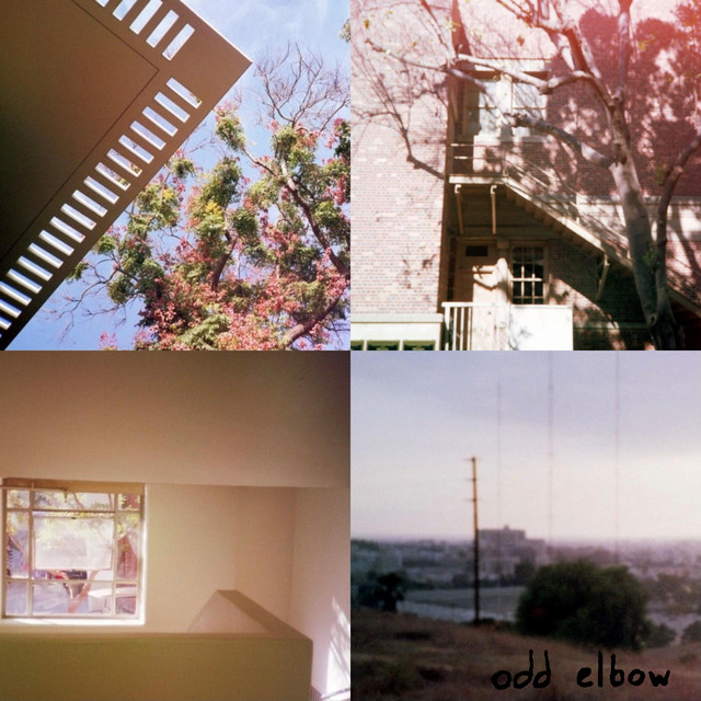 everything, always cover art