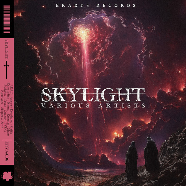 Skylight cover art