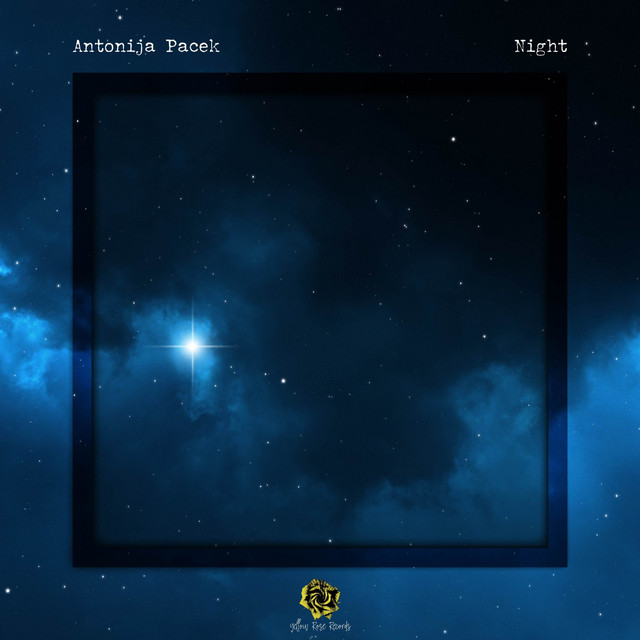 Night cover art