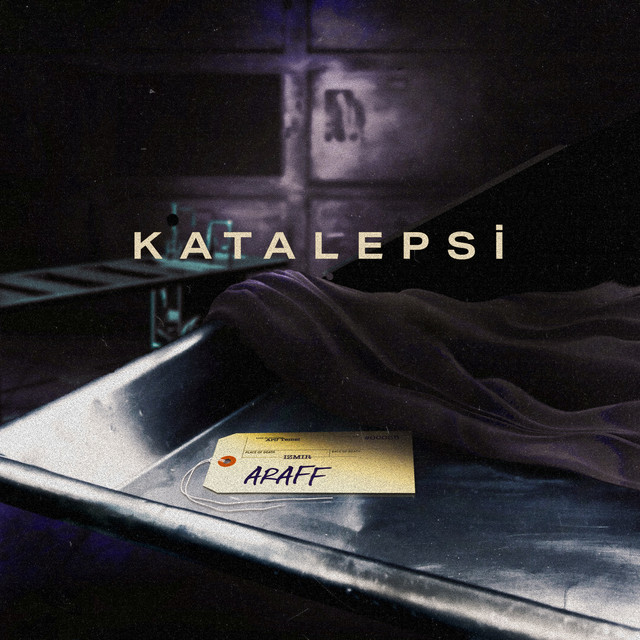 Katalepsi cover art