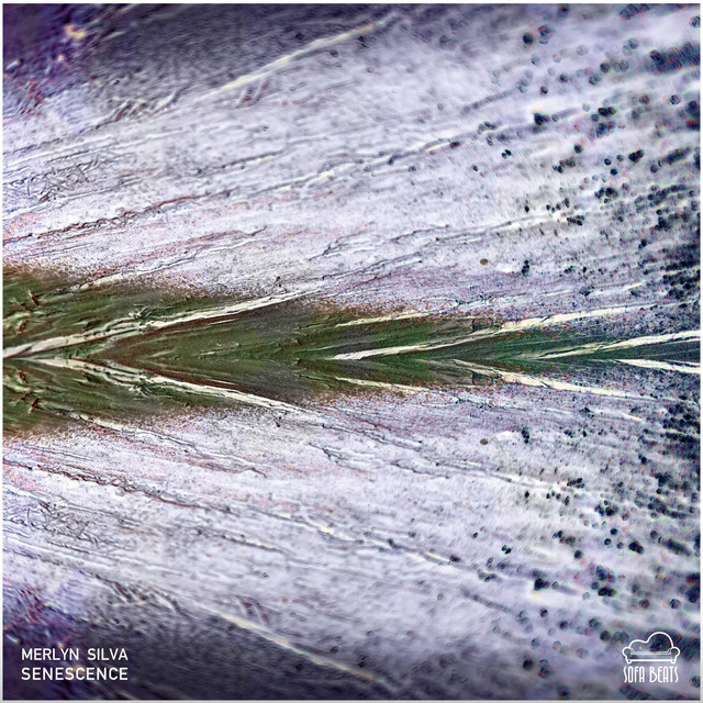 Senescence cover art
