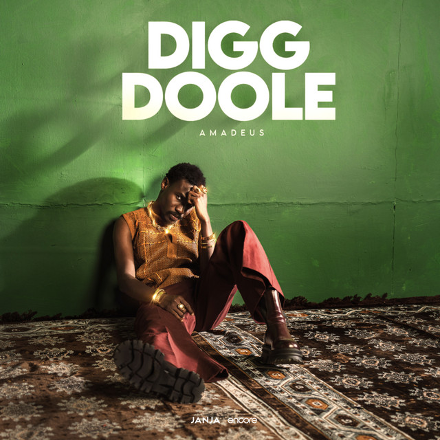 Digg Doole cover
