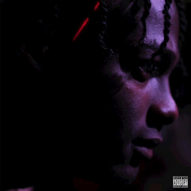 The Boom Bap Album cover art