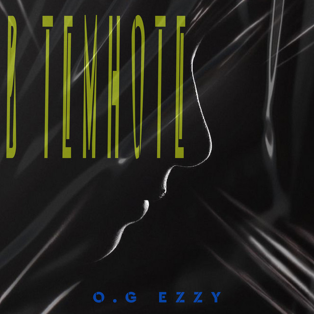 Обкладинка: В темноте — O.G EzzY
