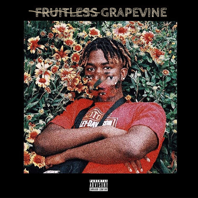 Fruitless Grapevine cover art