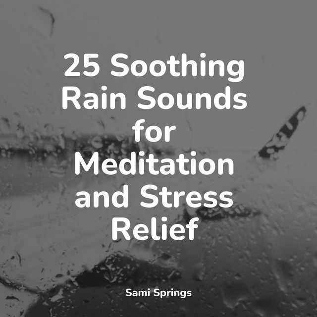 25 Soothing Rain Sounds for Meditation and Stress Relief - Album by ...
