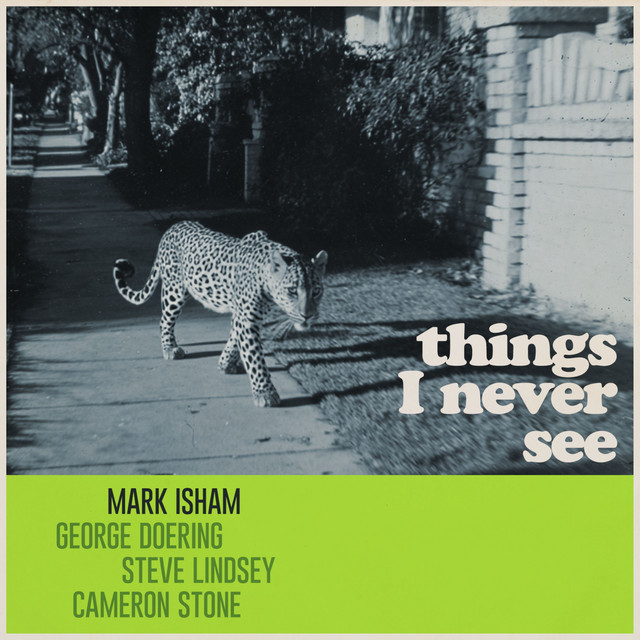 Things I Never See cover art