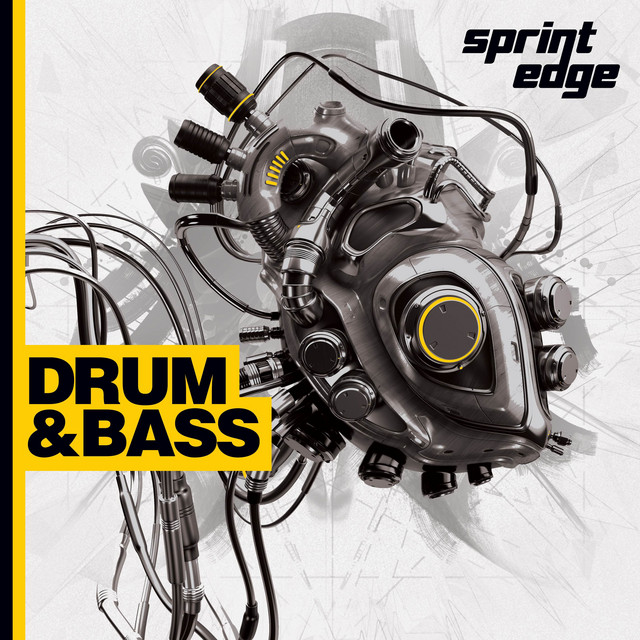SPRE14 Drum & Bass 2017 cover art
