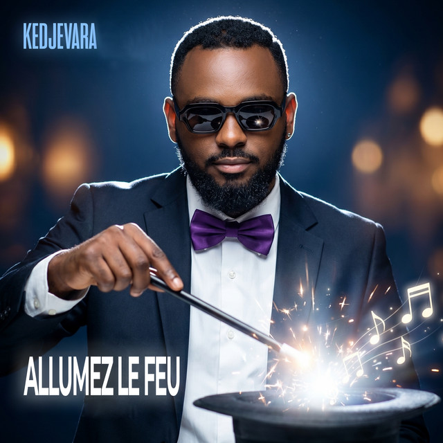 Allumez le feu cover