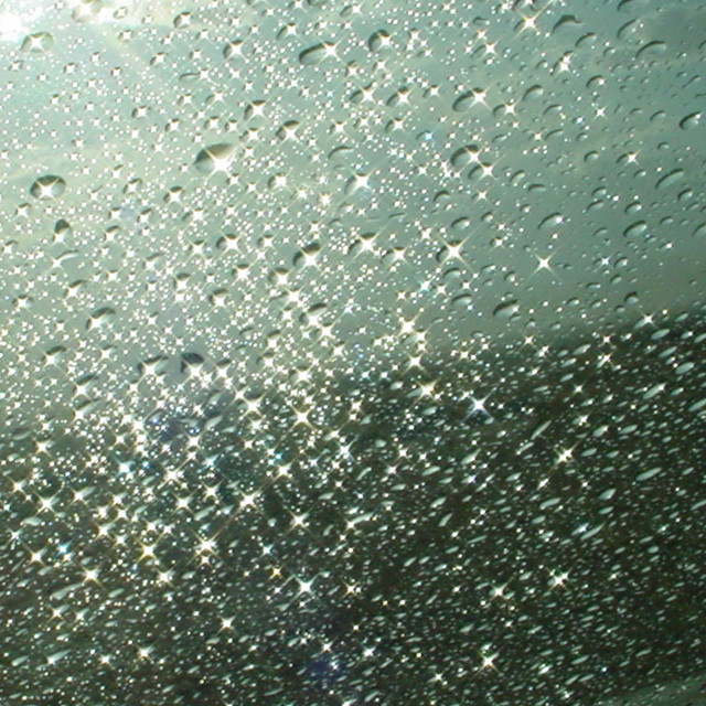 SHETRASH cover art