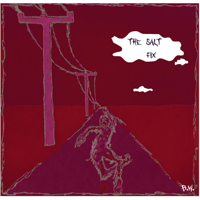The Salt Fix