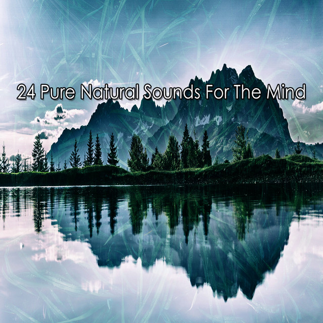 24 Pure Natural Sounds For The Mind - Album by Pro Sound Effects ...