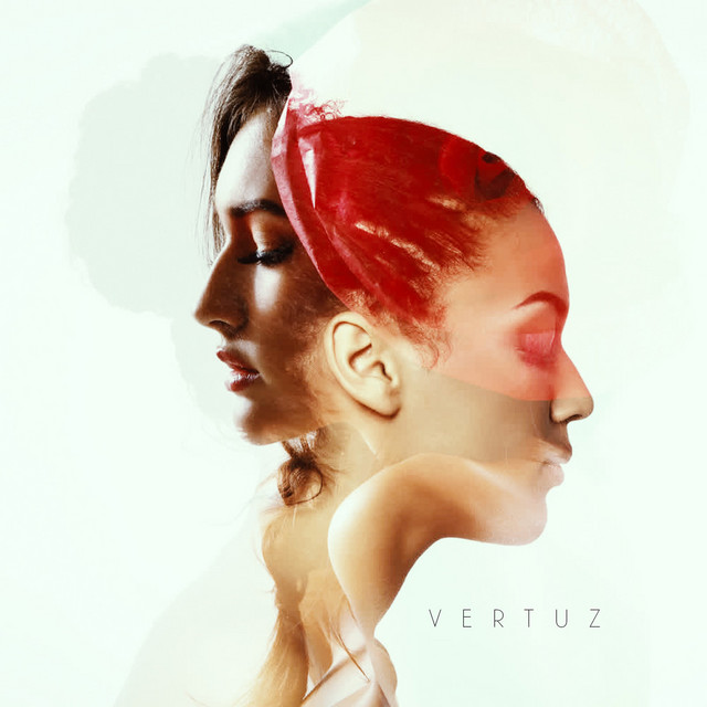 Vertuz cover art