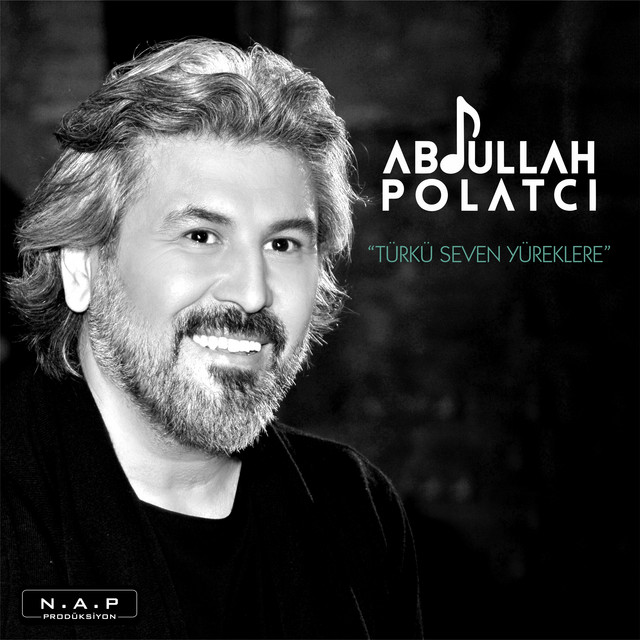 Türkü Seven Yüreklere cover art