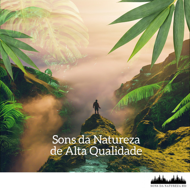 Wild Strong - song and lyrics by Sons da natureza HD | Spotify
