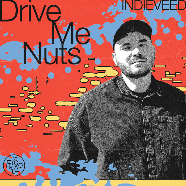 Drive Me Nuts album art