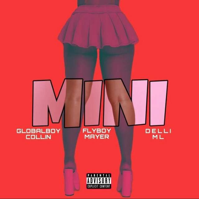 MINI cover