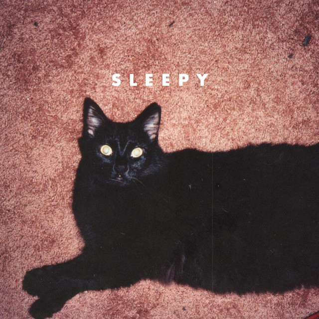 Sleepy cover art