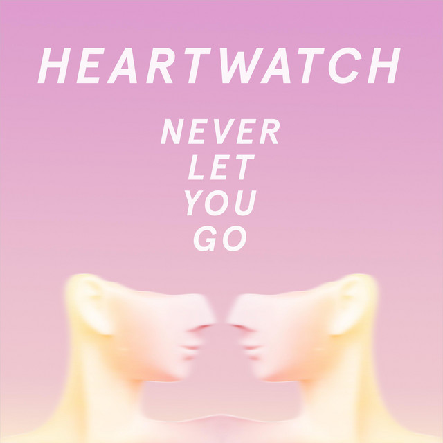 Never Let You Go cover