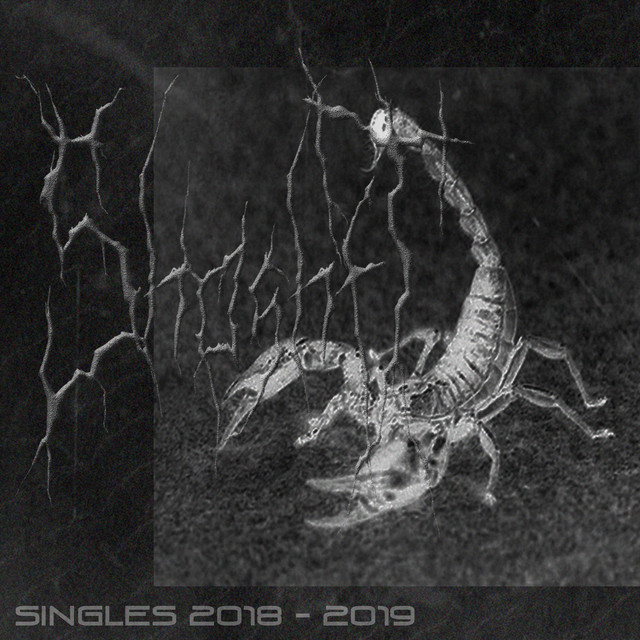 Designed for Submission cover