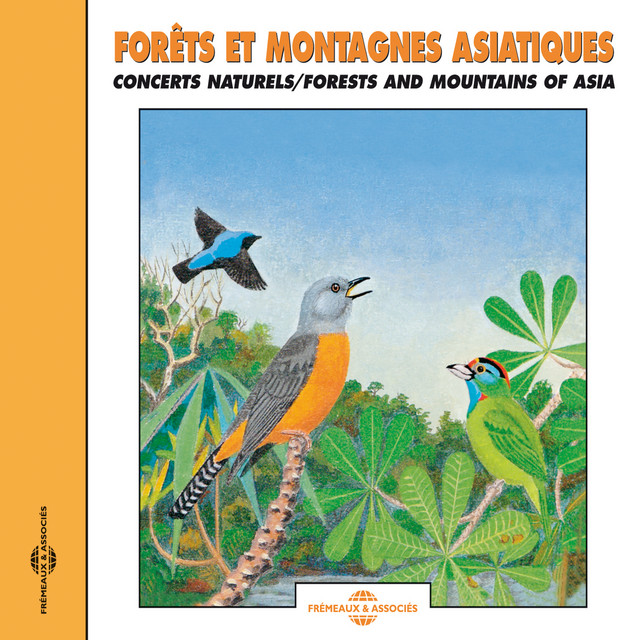 Forests And Montains Of Asia