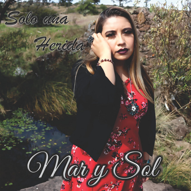 Solo Una Herida cover