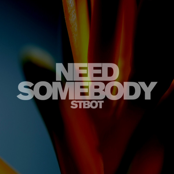 Need Somebody - Single by Stbot | Spotify