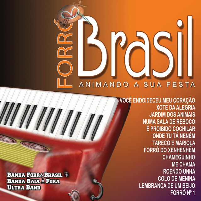 Animando a Festa cover art