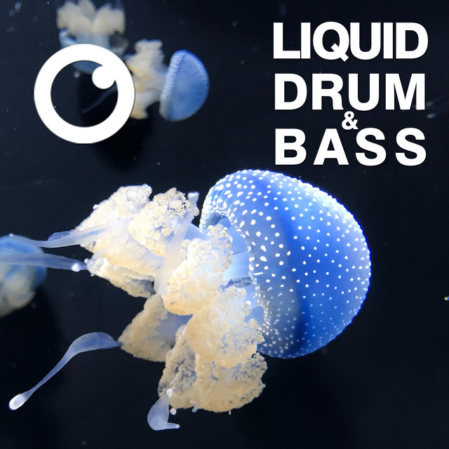 Liquid Drum & Bass Sessions 2020 Vol 23 - The Mix artwork