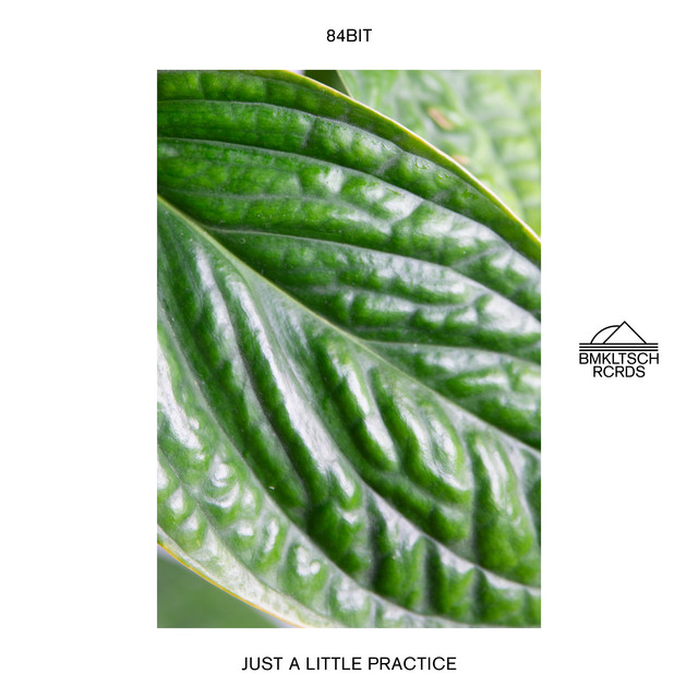 Just A Little Practice album art