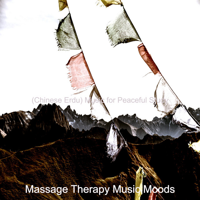 (Chinese Erdu) Music for Peaceful Study cover art