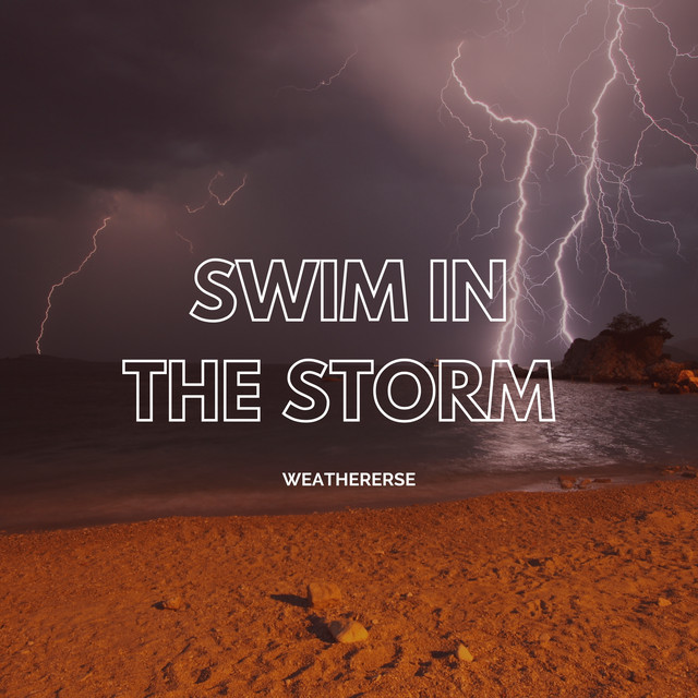 Swim In The Storm cover art