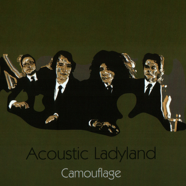 Camouflage cover art