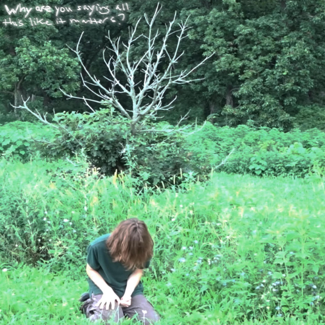 Why are you saying all this like it matters? cover art