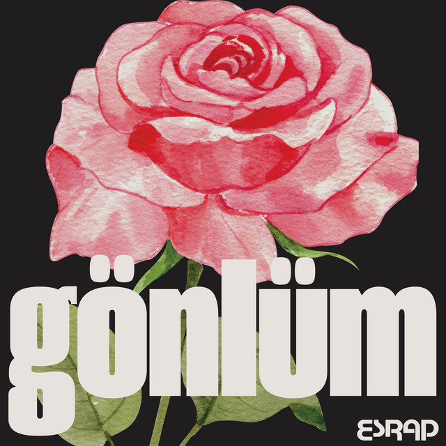 Gönlüm cover