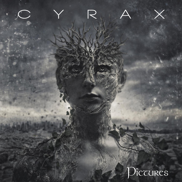 Pictures cover art