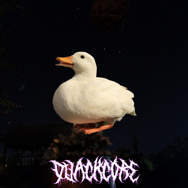 Quackcore cover art