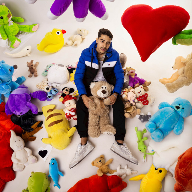 Meu Primeiro e Único Amor cover art