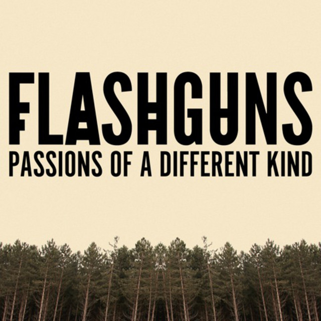 Passions Of A Different Kind cover art
