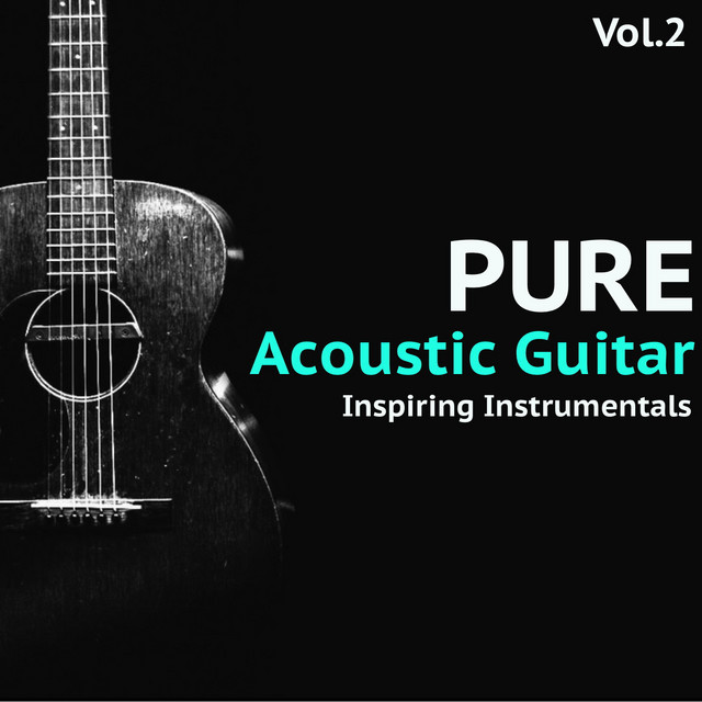 Pure Acoustic Guitar, Vol. 2 cover art