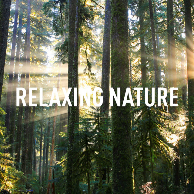 Relaxing Nature cover art